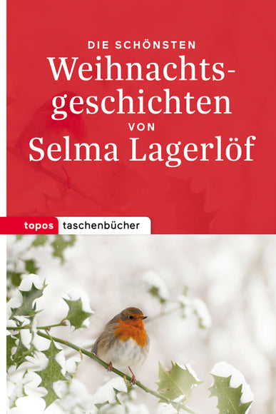 die schönsten Weihnachtsgeschichten